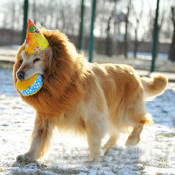 Костюм Домашний Питомец Львиная Грива Парик Для Собаки Хэллоуин Фестиваль Наряд Реквизит Подарок Мода