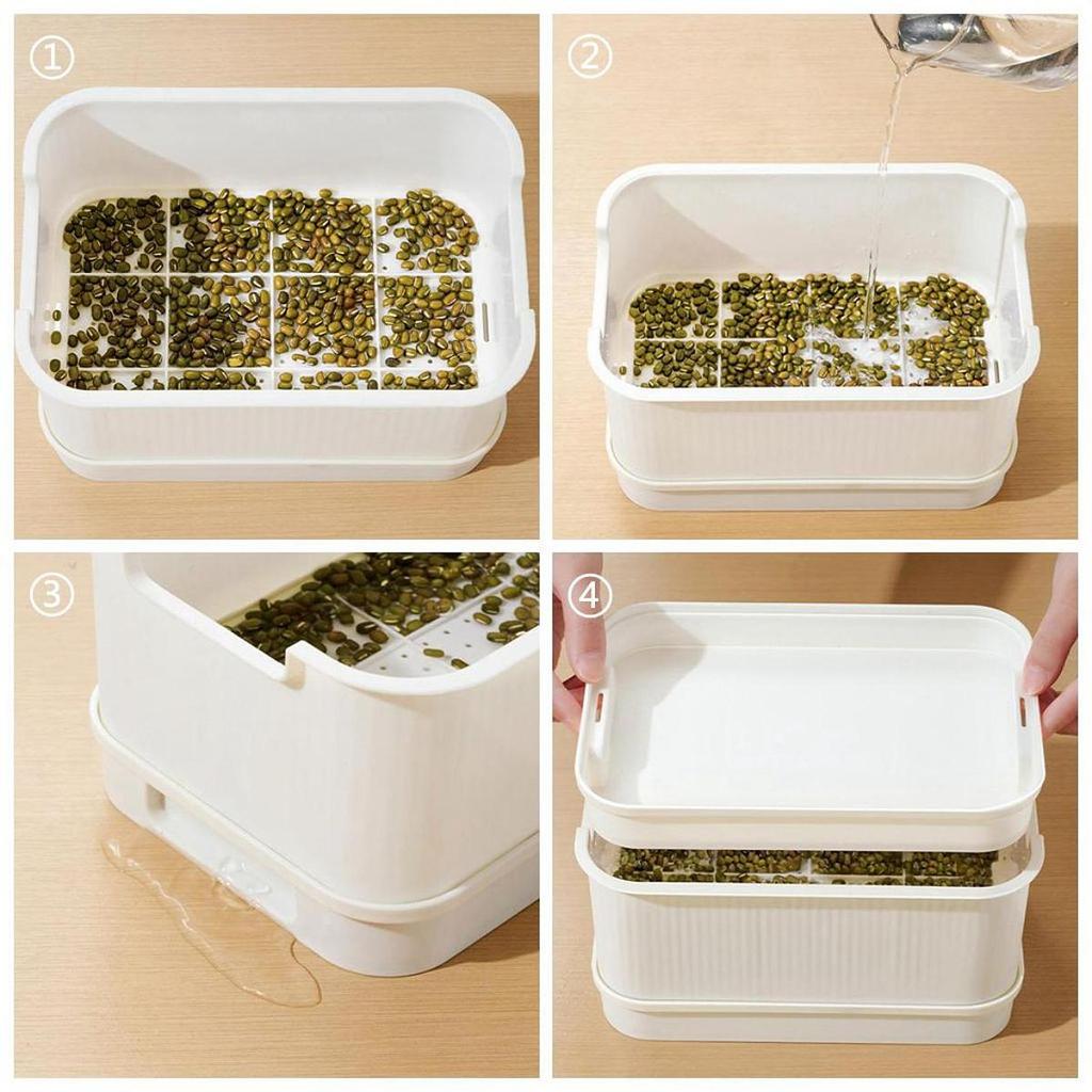 Seed Sprouts Tray Nursery Tray Saving Space Mini Greenhouse Germination Kits for Sprout Planting Container Green Growing Tray