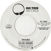 7inch Record DAVID GEDDES - Trouble BT16067PROMO Big Tree Record 1976 UK Rock Used