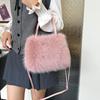 Autumn and Winter New Furry Bag Fur Crossbody Shoulder Strap Plush Bag Versatile Large Capacity Handbag for Women