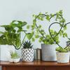 1Pc Plant Support Garden Stake Stand Round Vine Climbing Rack Ironheart-Shaped Flower Trellis Frame Stand Holder Plastic Decor