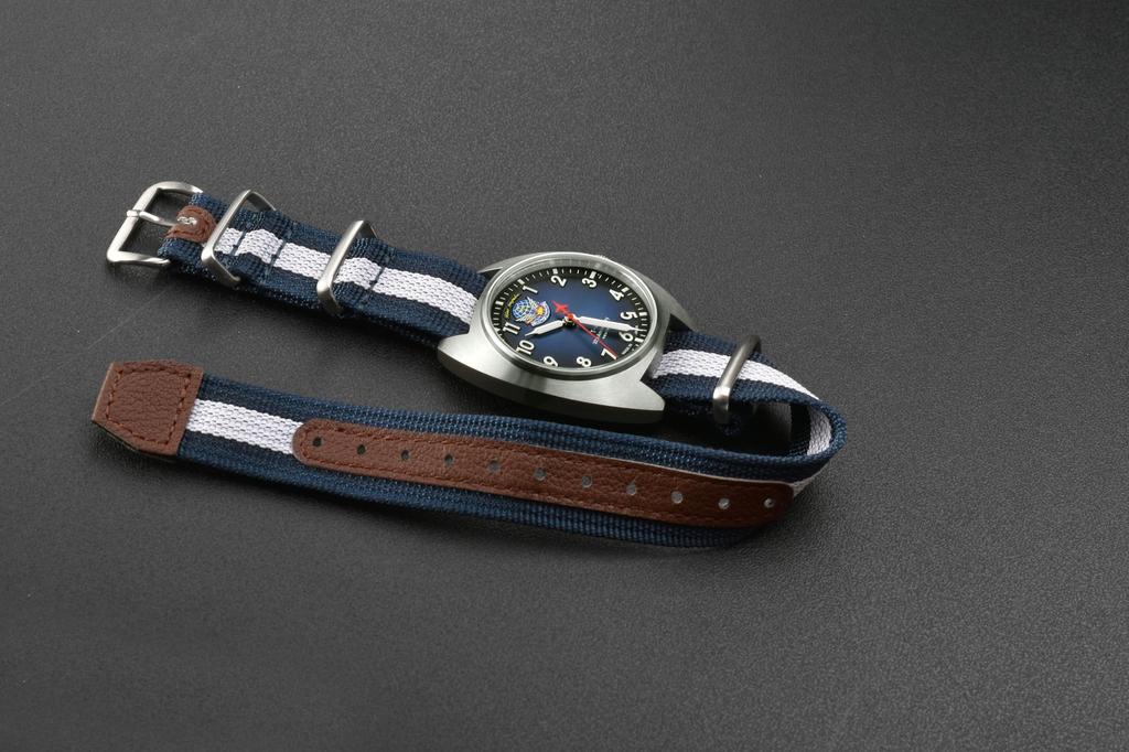 Kentex Blue Impulse Classic Standard Модель к 30-летию T-4 S798M-06