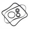 SPX1600TRA Replacement O Ring Seal Kit Fits Hayward Pool Pump Precision Engineered Components for Long Life
