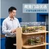 Clear Acrylic Reptile Terrarium With Magnetic Lock Door Bearded Dragon Gecko Spider Small Pet Housing
