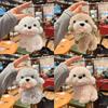Stuffed Animal Doll Plush Puppy Keychain Lovely Car Key Ring Backpack Ornament Bag Pendant  Trinket