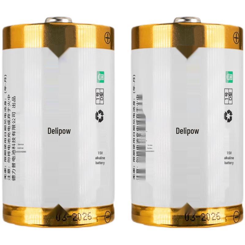 Щелочные батарейки Delipow типа D, 1,5 В, с китайской вилкой (адаптер в комплекте)