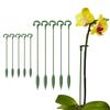 10pcs Durable Plants Support Racks Butterflies Orchid Vine Climbing Stand  Gardening Tools