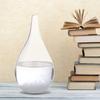 Water Droplets Windstorm Glass Weather Forecast Bottle Crystal Chemistry Decor