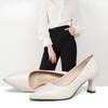 Shallow Mouth Single Shoe Women's Thick Heel Spring Versatile Pointed Professional Women's Shoes Black High Heels
