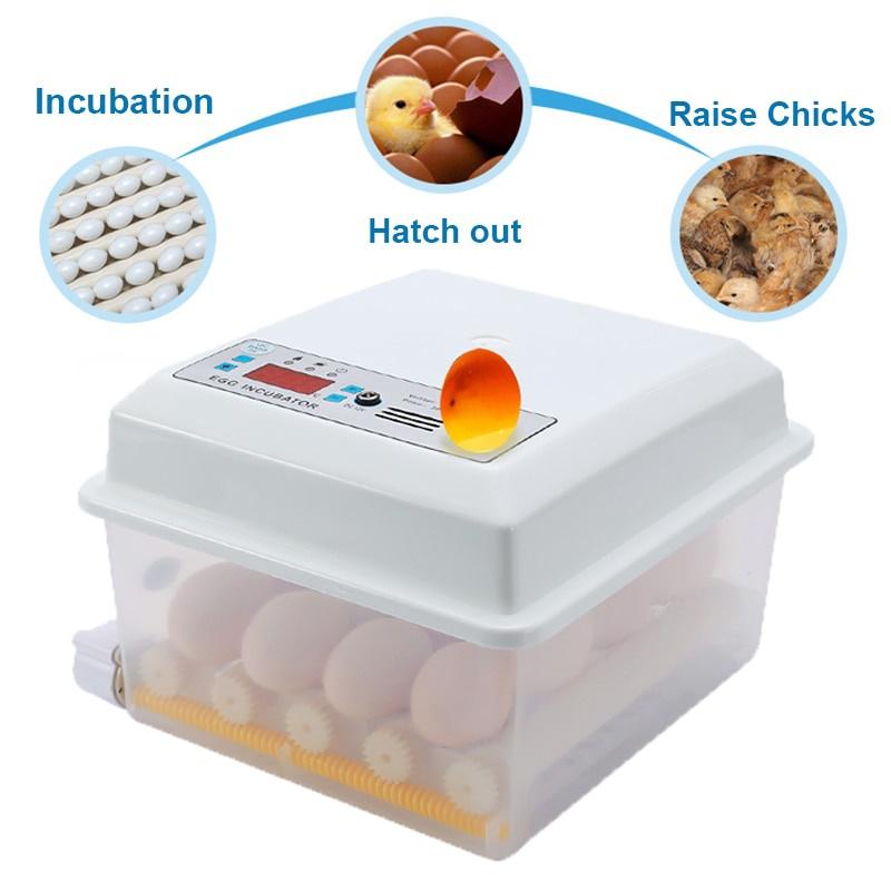 110V/220V Eggs Incubator Brooder Bird Quail Incubator Chick Hatchery Incubator Poultry Hatcher Turner Automatic Farm Incubation Tools