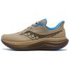 Triumph 23 Gtx Comfortable Versatile Running Shoes Unisex Running Shoes Brown S31025-550