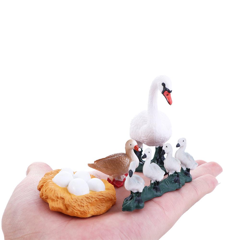 Toys Miniature Cycle Duck Figurine Life Cycle Figures White Goose Growth Cycle Simulation