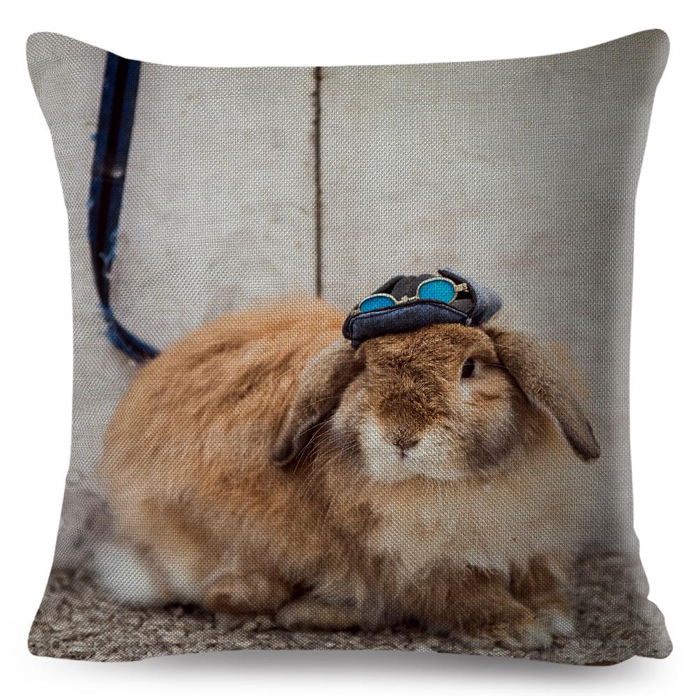 High Resolution Animal Photography Print Cushion xcm Realistic Rabbit Imagery Soft Natural Lighting Gentle Color Palette