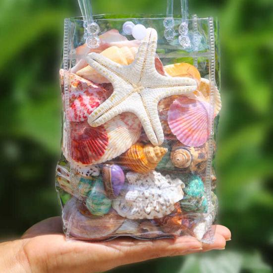 1 Bag Natural Seashells Mixed Ocean Shells Starfish Conch Various Sizes Seashells Set for DIY Crafts Beach Theme Party Fish Tank Filling