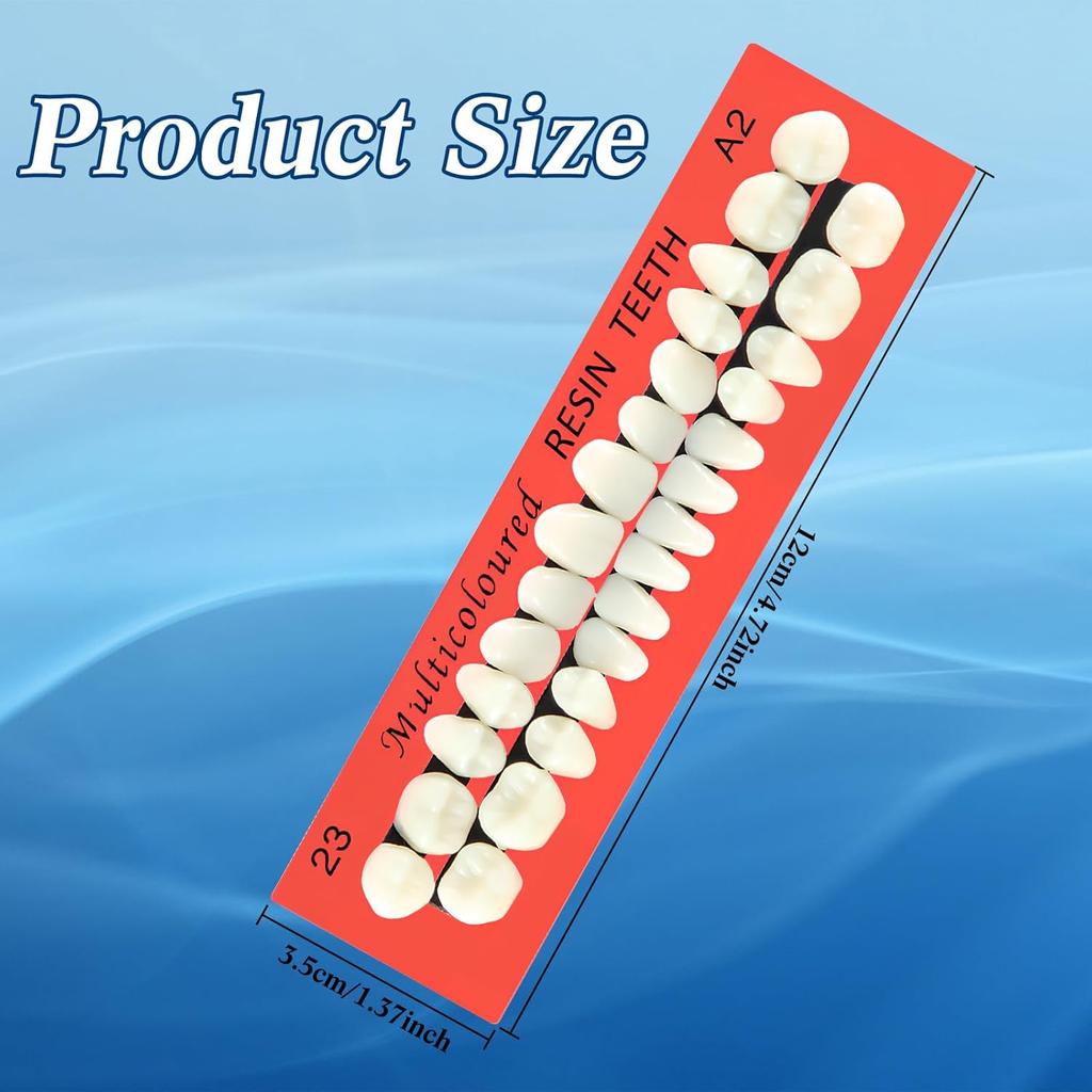 6 Sets Acrylic Resin Fake Teeth Artificial Teeth Denture Dental Tooth Prop Synthetic Resin Denture for Replacement DIY Halloween