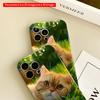 2DFlat Ginger Cat in Sunlit Grass Phone Case All inclusive film hard iPhone case, compatible with iPhone 18 Pro Max 17 16 15 14 13 12 11