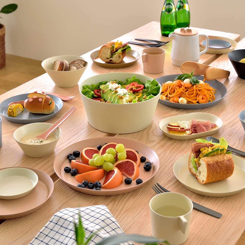 Тарелка большая ideaco черная тарелка 24 см usumono plate24 тарелка (усумоно 24)