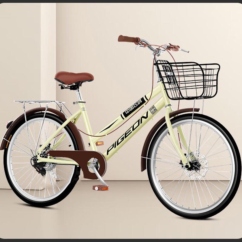 Flying Pigeon Double Beam City Commuter Bicycle