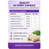 Stanoholen – To Normalize Cholesterol: 60 Capsules