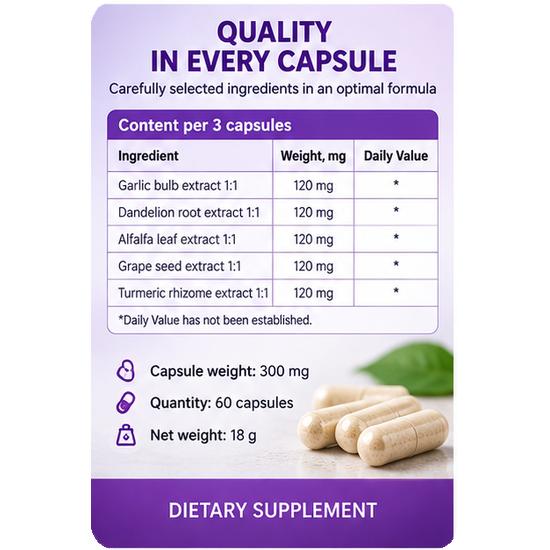 Stanoholen – To Normalize Cholesterol: 60 Capsules
