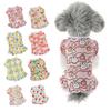 New Cute Pet Summer Ultra-thin and Ultra-cool Cat and Dog Pet Lace Vest Pet Clothes