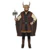 Fiestas Guirca Mens Viking Costume Set