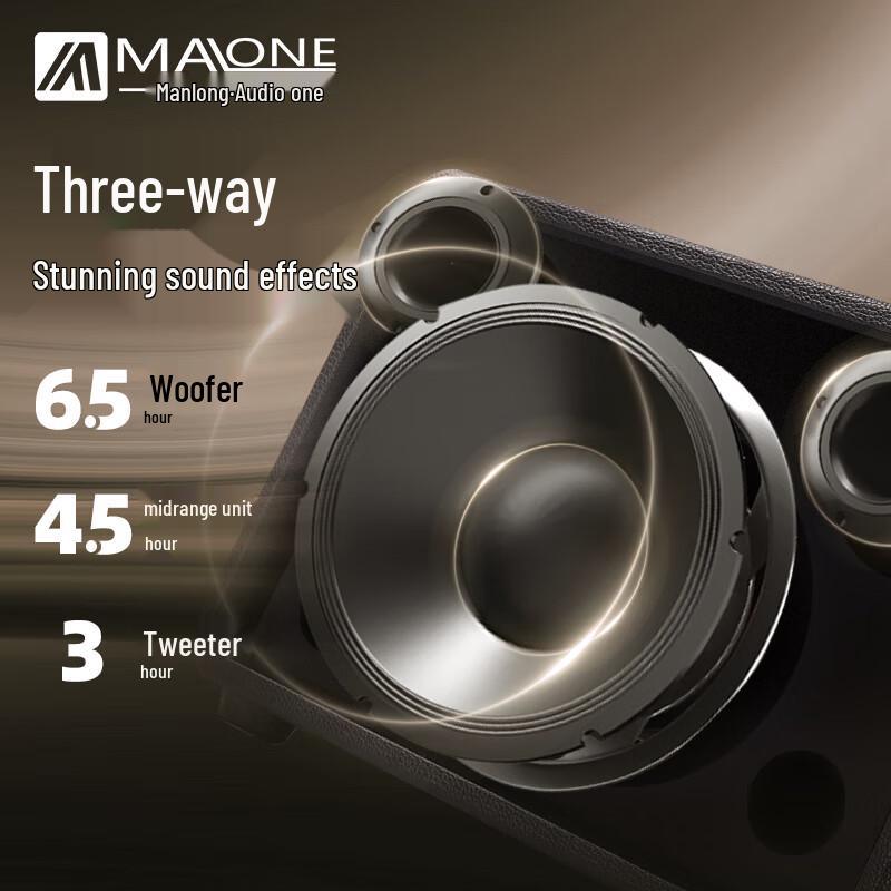 Manlong Portable Outdoor Karaoke Amplifier GT-001 CN plug (adapter included)