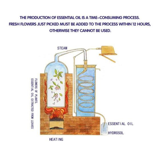 Yousheng 10 мл ароматическое масло не раздражает кожу, сужает поры, восстанавливает после загара, глубоко очищает, увлажняет, осветляет тон кожи, экстракт пачули, эфирное масло
