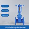 Naixin Z41X Cast Iron Rising Stem Soft Seal Flange Gate Valve