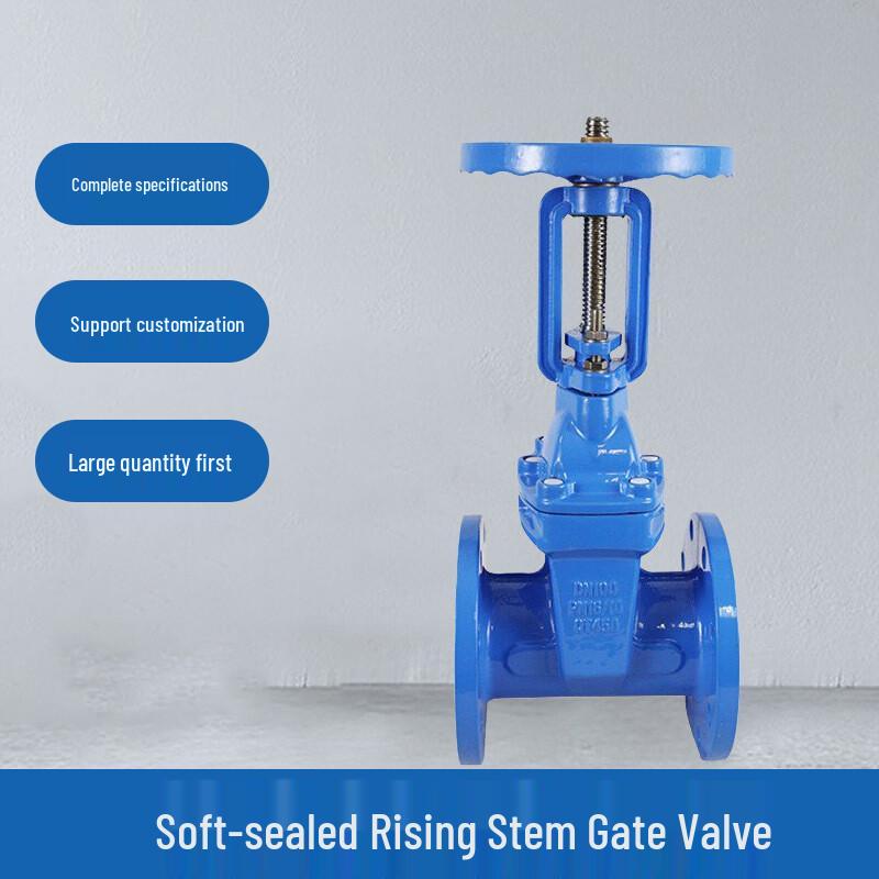 Naixin Z41X Cast Iron Rising Stem Soft Seal Flange Gate Valve