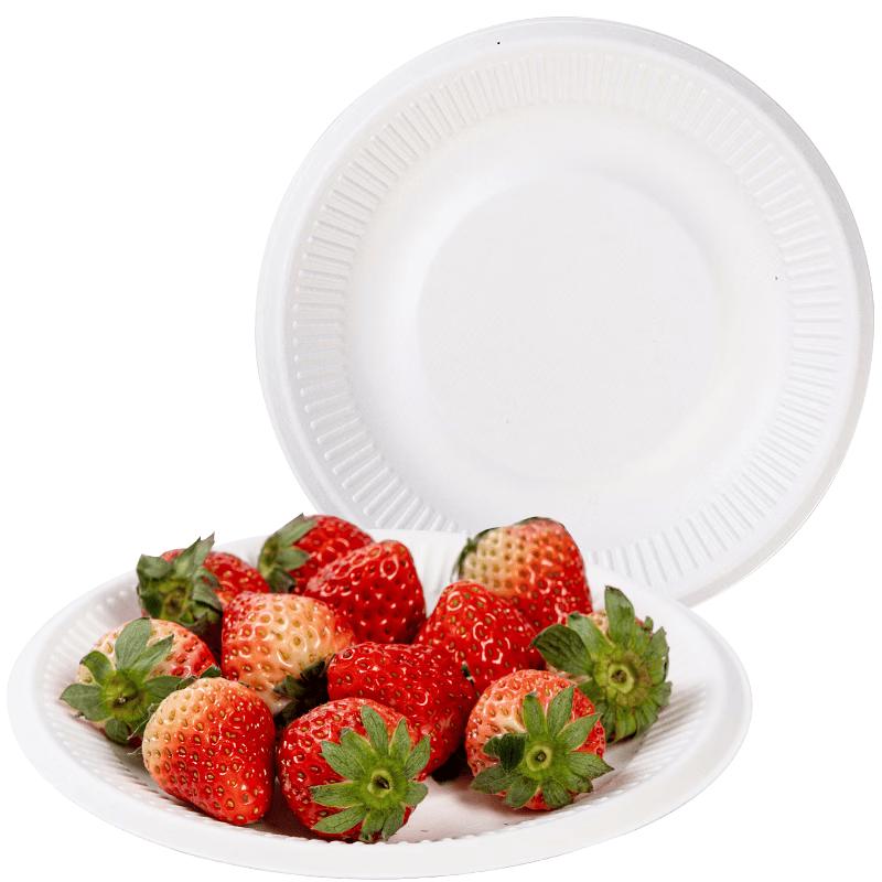 Temeiju 6-inch Biodegradable Disposable Plates