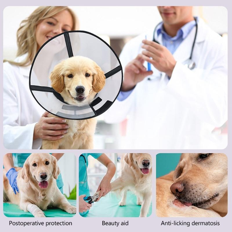 Durability and Flexibility Recovery Collar Stop Licking Specifically for Cats Providing Long Terms Support Postoperative