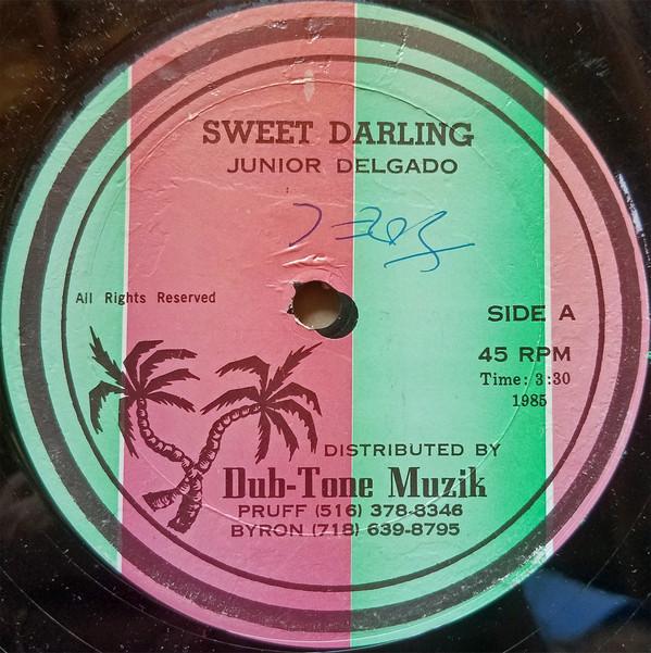 12-дюймовая пластинка JUNIOR DELGADO Sweet Darling NONE DubToneMuzik 1986 Не Япония Obi Reggae Ska Dub Б/у