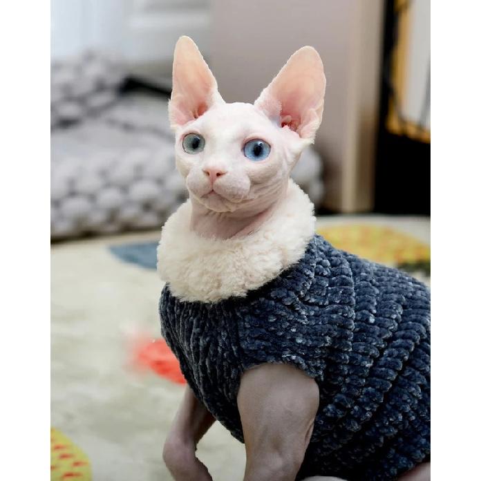 Devon Rex Thickening Plush Coat Cat Sweater Costume Sphynix Clothes Katten Sphynx Pullover Clothing Products for Winter Outwear