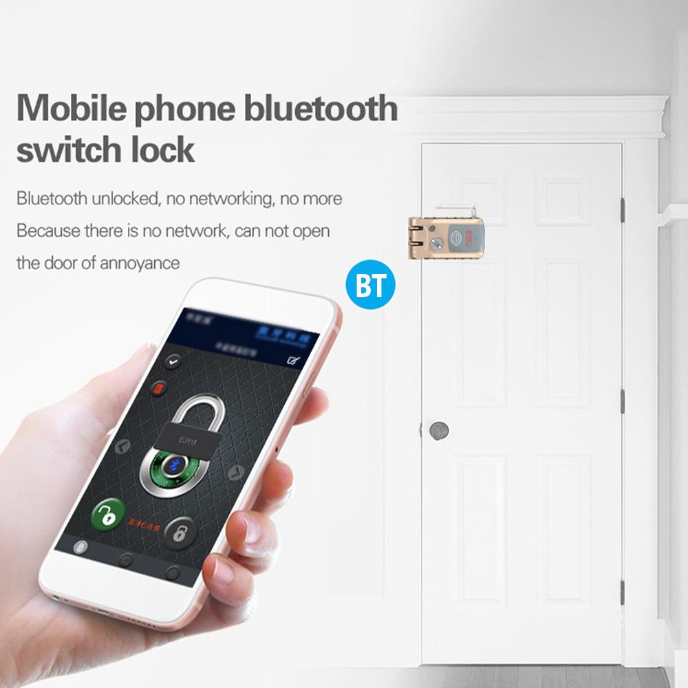Remote Control Door Lock Home Security Double Anti-Theft Smart Lock App and BT Unlocking Wireless