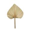 Dried Palm Leaf Decoration with Stem Rustic Boho Home Wedding Party Indoor