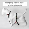 Training Dog Choking Rope Leash 2 In 1 Lead Collar 150cm P-Shaped Chain Slip Lead Control Leash for Small Large Competition Dogs