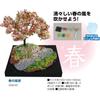 Null Artec Geobase Entry Cube First Diorama Spring Scenery