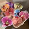 Gradient Pink Butterfly Orchid Pearl Hair Clip Butterfly Orchid Edge Clamp Flower Shaped Hair Clip New Hair Accessory