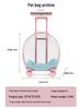 Портативная прозрачная переноска для питомцев: Многоцелевая дорожная сумка большой вместимости для кошек