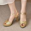 Sexy Women High Heels Sandals Fad Bling Brand Pumps Spring Summer New Stilettos Shoes Dress Party Women Slingback Slippers
