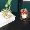Nordic Golden Glass Vase Iron Line Vase Metal Home Decor Modern Plant Holder Terrarium Geometric Hydroponic Plant Flower