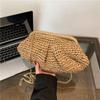 Summer Designer Shoulder Crossbody Bag Straw Weaving Clutch Purse Women Dumpling Crossbody Beach Bag Fashon Cloud Pouch