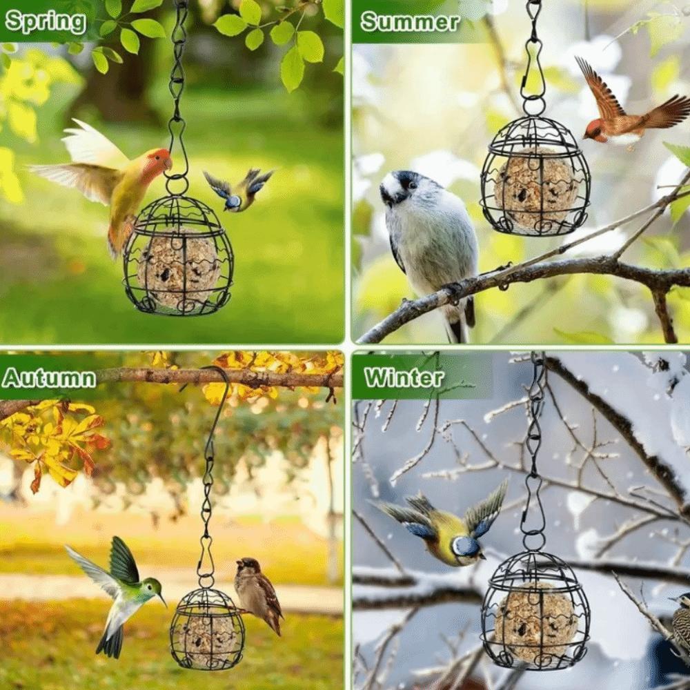 Squirrel Proof Hanging Bird Feeder Iron Hanging Bird Food Station Bird Feeding Wire Cage Garden