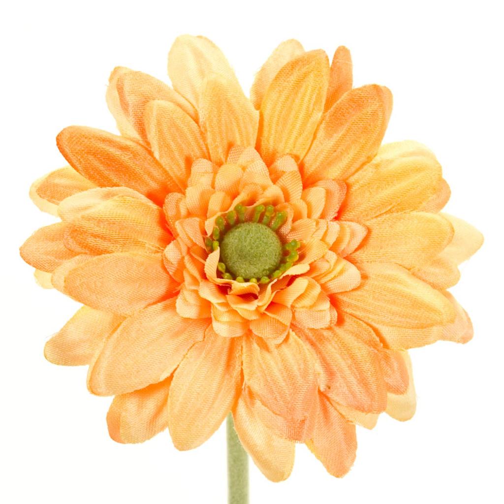 Tokyodo Искусственный цветок MAGIQ Soleil Гербера Пучок Светло-оранжевый Диаметр цветка 7 x Длина 27см 3 штуки FM002832-009