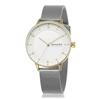 Часы RIIS SKW2912 Silver [Skagen] Женские