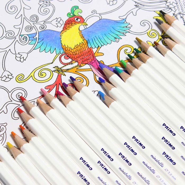 Crayon de couleur - PRIMO - Assorties - 3.8 mm - Pack de 24 - Enfants dès 3 ans