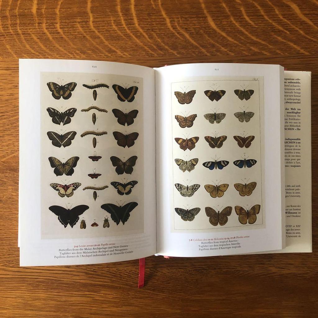 [USED] Cabinet of Natural Curiosities