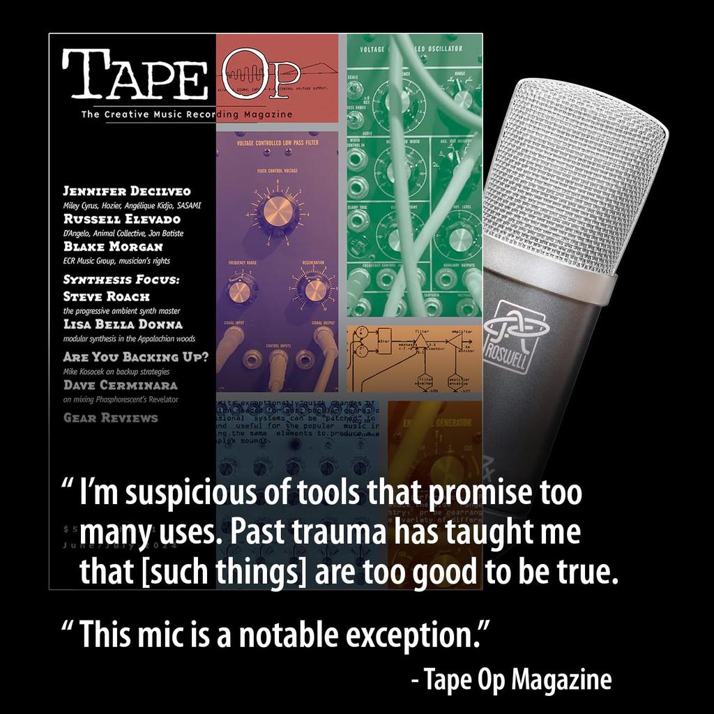 Roswell Pro Audio Mini K67x Large Diaphragm Condenser Microphone