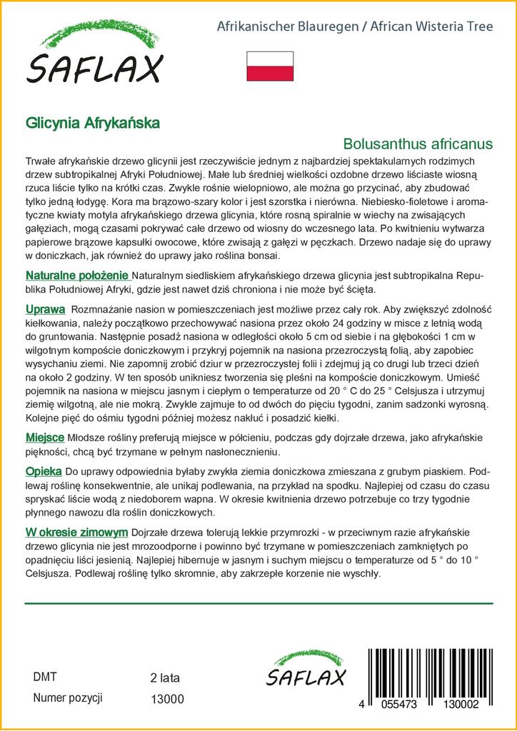 SAFLAX Дерево глицинии африканской - 15 семян - Bolusanthus africanus